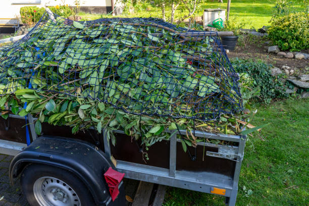 Best Recycling Services for Junk  in Elizabethtown, KY